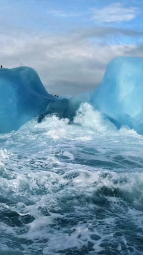 Ocean Surging Wave Penguin Iceberg iPhone Wallpaper