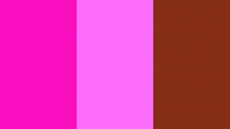 Shocking Pink Crayola And Sienna Three Color Background