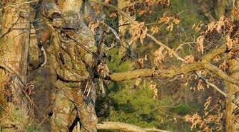 Realtree Apg Camo