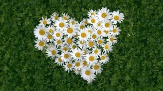 Valentine S Day Desktop Wallpaper High Definition