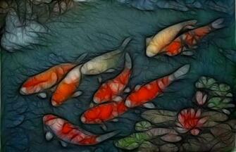 HD Wallpaper Koi Pond Desktop X Kb Jpeg