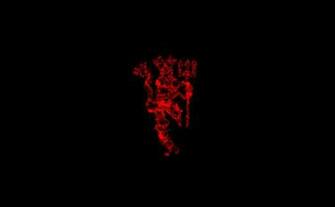 The Red Devil Manchester United Wallpaper Best HD