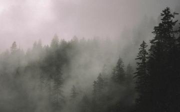 Rugged Outdoors Wallpaper Collection By Nomad
