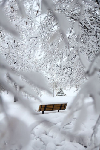 Beautiful Winter Wallpaper For iPhone That You Ll Love