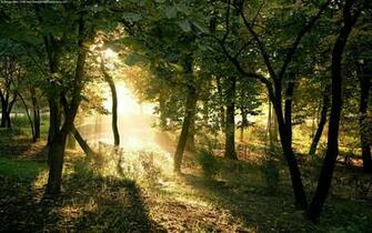 Wallpaper Top Best Rated Widescreen High Quality Artworks Pix