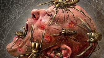 Scary Spider Wallpaper
