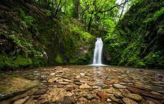 Wallpaper Black Forest Germany Waterfall