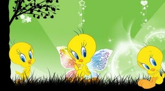 Beautiful Wallpaper Tweety