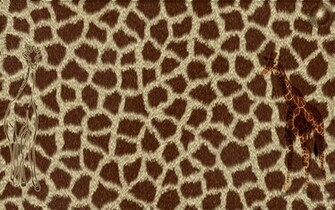 Giraffe Posted On Jan 21st In Wallpaper No Ratings Yet
