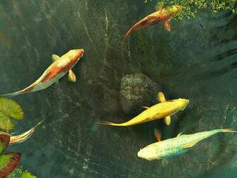 Koi Fish 3d Screensaver And Software Res Cnet