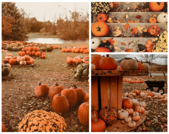 Autumn Wallpaper Aesthetics