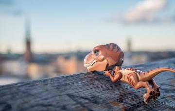Wallpaper Toy Dinosaur T Rex Image For Desktop Section