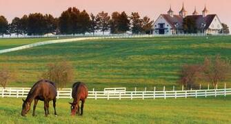 My Old Kentucky Home R J Tours