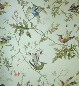 Hummingbirds Wallpaper With Colourful Birds On Branches