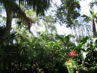 Tropical Landscape Wallpaper
