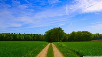 Summer Scenes Wallpaper