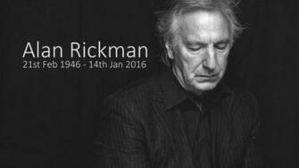 Alan Rickman Wallpaper X Net