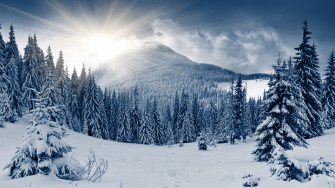 Wallpaper Winter Forest 5k 4k Mountain Sun Snow