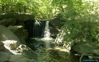 Central Park Waterfall Album