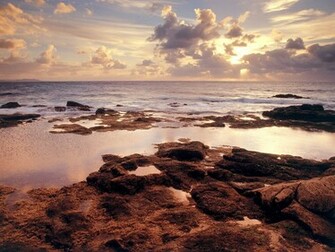 Serene Shore Wallpaper