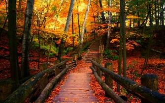 Autumn In Wisconsin Wallpaper