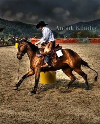 Barrel Racing By Comtess