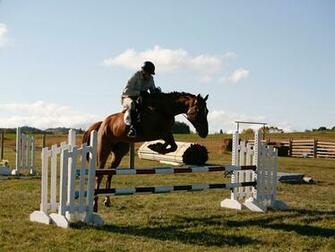 Heartland Photo