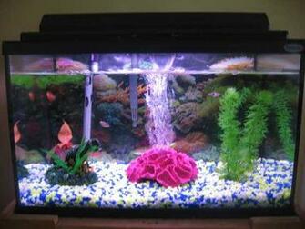 3d Fish Tank Wallpaper Box