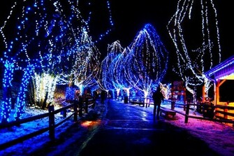 Winter Lights Wallpaper