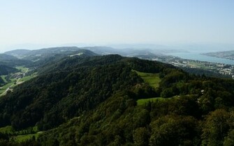 Green Hills Wallpaper