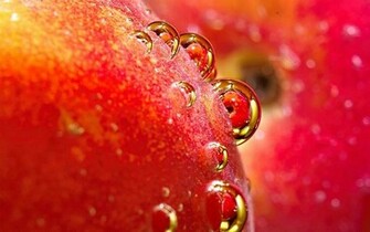 Ubuntu Official Realesed Pictures Wallpaper
