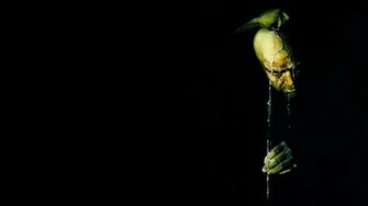 Films Apocalypse Now Wallpaper