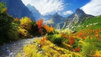 Autumn Wallpaper Run Vid O Dailymotion