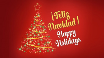 Holidays With Your North Carolina Symphony