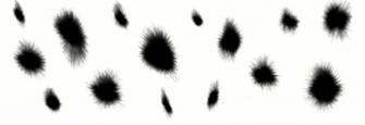 Dalmatian Spots By Dark Santa