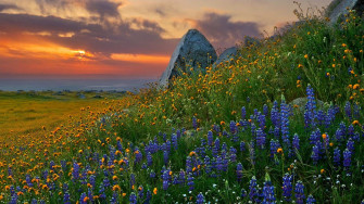 Amazing Landscape Wallpaper Full HD X Px