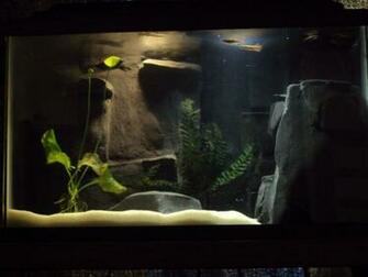 3d Gun Image Aquarium Background