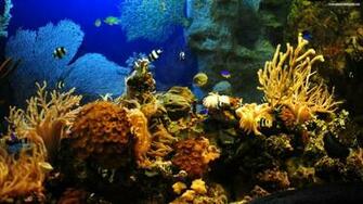 Descargar Imagen Fishing Wallpaper HD Widescreen Gratis