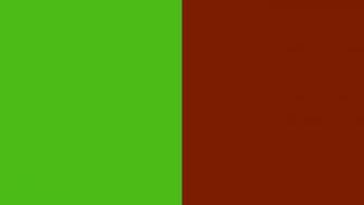 Resolution Kelly Green And Kenyan Copper Solid Two Color