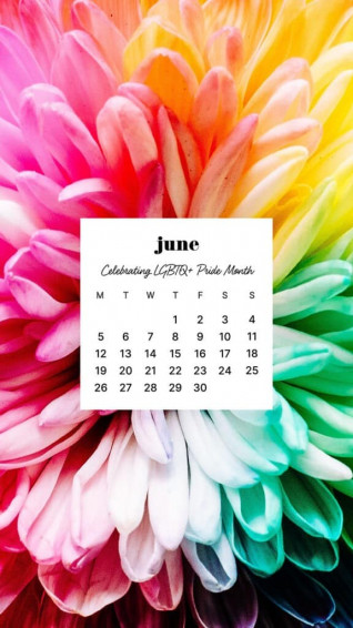 Lgbtqia Pride Wallpaper Options June