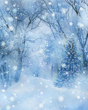 Winter Wonderland Background Background