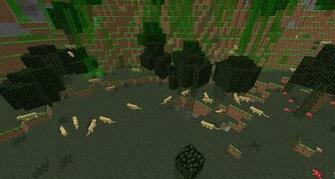 Ocelot Minecraft Ocelots According To Wg