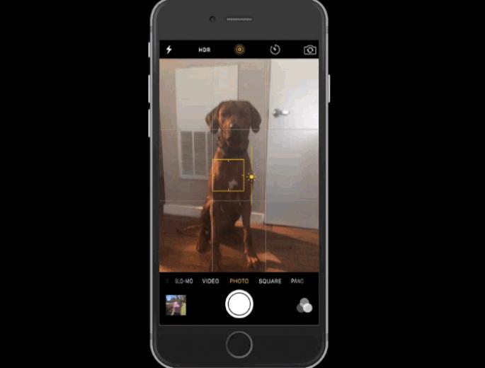 Killer iPhone 6s Tips Everyone Needs To Know Cult Of Mac