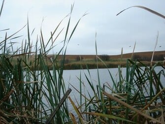 December At In Duck Hunting Wallpaper