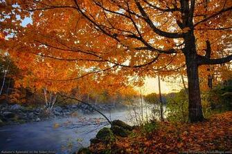 Acadia National Park Credit Acadiamagic