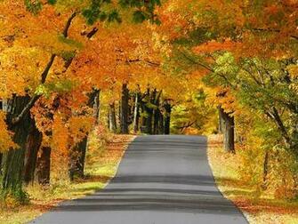 Wallpaper Road Avenue Trees Asphalt Autumn Wisconsin HD