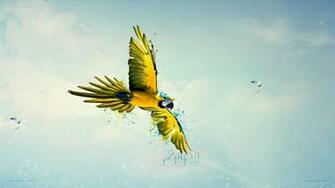 Macaws Birds Sky Parrot Flying Paint Splatter Wallpaper HD