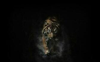 Tiger Wallpaper