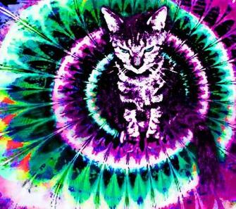 Pictures Vidzshare Net Trippy Wallpaper Categories 3d