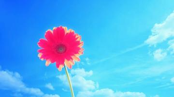 Bright Wallpaper Pictures